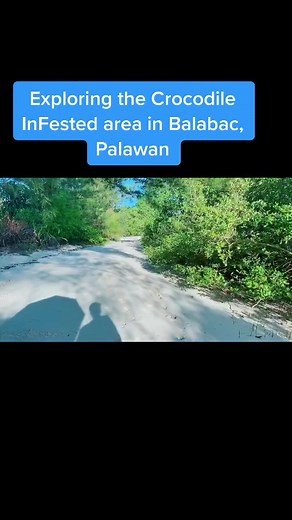 Exploring Balabac #balabac #palawan #philippines #daryldrake #fyp #foryou #foryourpage #xyz #xyzcba#xyzabc #adventure #tiktokph #pinas #travel #beach