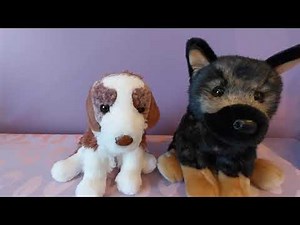Unboxing Rancher the Red Merle Aussie Plush by Douglas Cuddle Toys ❤️🐾