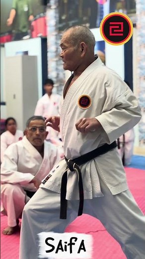 Traditional Okinawan karate Saifa kata #higaonnasensei #gojuryukarate #karate #martialarts togkfuae