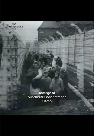 Understanding Auschwitz: Holocaust Education and History