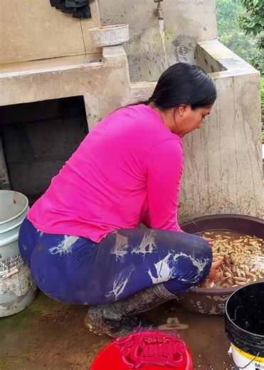 Lavando maní 🥜 #andreaenelcampo #naturaleza #naturaleza #campo #amazonia