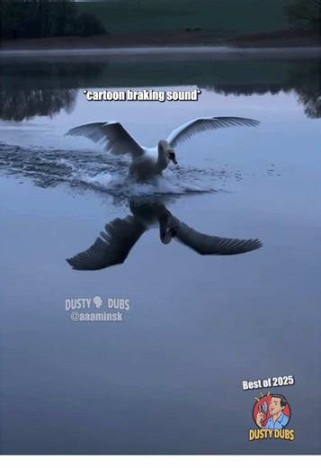 Dusty Dubs: Best Animal Voiceovers Compilation 2025