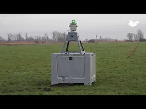 Automatic laser repels geese at dairy farm