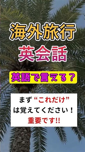 海外旅行 英会話、まずは“これだけ”覚えてください！#海外旅行 #初心者 #英会話 #英語 #空港 #入国審査 #ホテル #レストラン #ショッピング #機内 #チェックイン #チェックアウト #初級