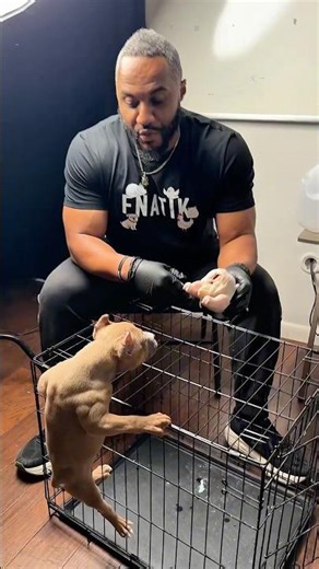 That dog belongs in the jungle. 🌳🪾😂