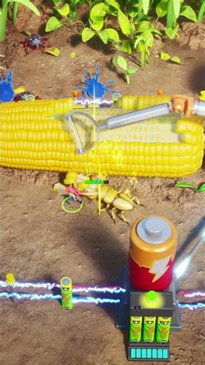 Picking up corn kernels