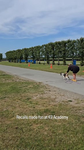 The Visiting Vet Nurse on Reels