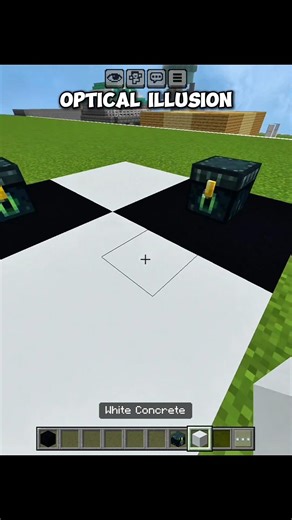 Minecraft Optical Illusion 😨#minecraft #shorts