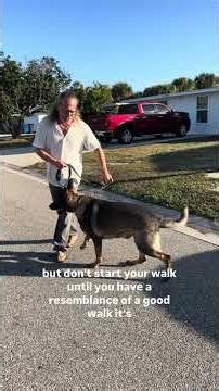 Get a better walk in 2 minutes #dogcoach #dogbehavior #dogtraining