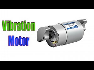 Top 4 Best Vibration Motor Review 2025