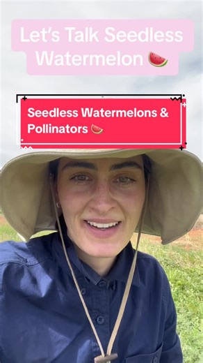 Lets Talk Seedless Watermelon 🍉 | Understanding Pollinators & Genetics