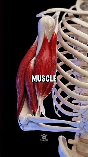 Best vs Worst Foods for Muscle, Recovery & Strength 💪🔥 #fitness #facts