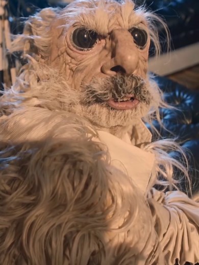 Stinky Dog Moments That Make You Laugh