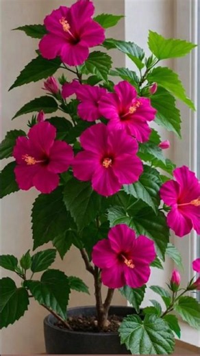 🌺 How To Propagate Hibiscus Plant From Cuttings | Easy Rooting Method #shorts