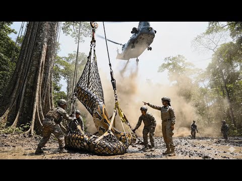 RESEARCHERS' MISTAKE / The giant python awakens