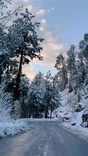 Explore the Beauty of Murree Hills Today