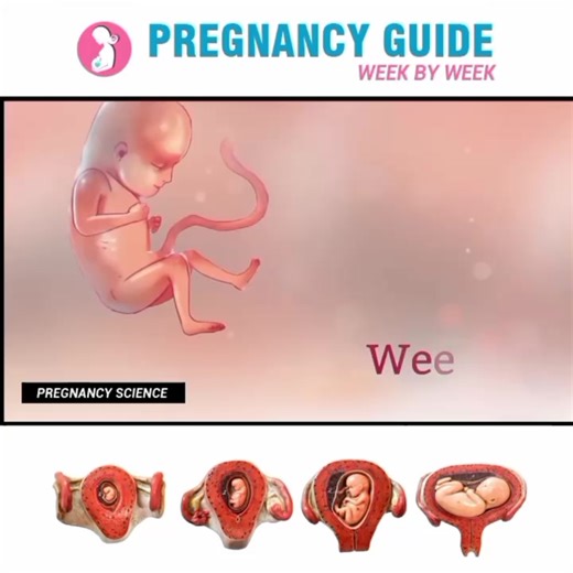 Abacus Whiz (@abacuswhiz)’s videos with original sound - Abacus Whiz