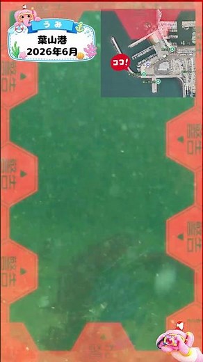 知育動画で楽しく学ぶ【水中映像】今日は魚いるかな？🐟 葉山港の海の中🌊2026年6月