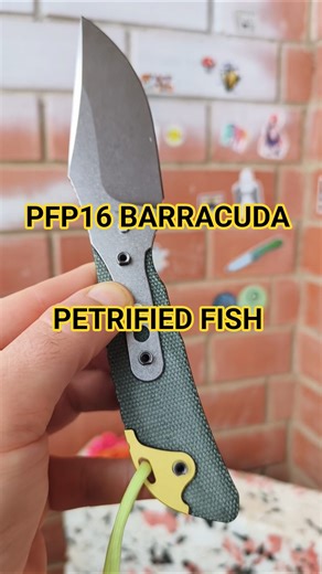 ПРИЯТНЫЙ, НЕБОЛЬШОЙ, РАБОЧИЙ. Городской нож BARRACUDA PFP16 от PETRIFIED FISH.
