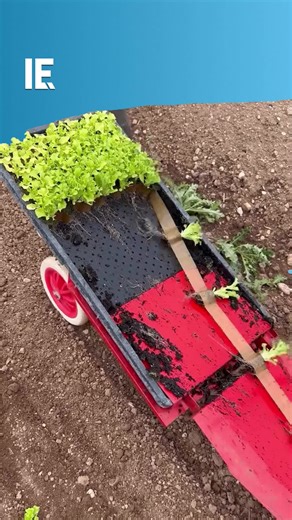 This Paperpot Transplanter makes planting crops look easy! 🎥 highyieldmarketfarming / IG