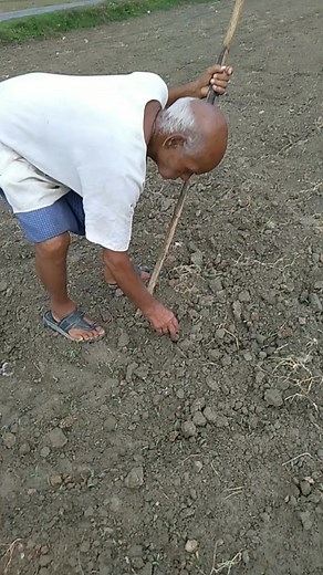 teri#mitti#me#mil#java#kull#bankar#