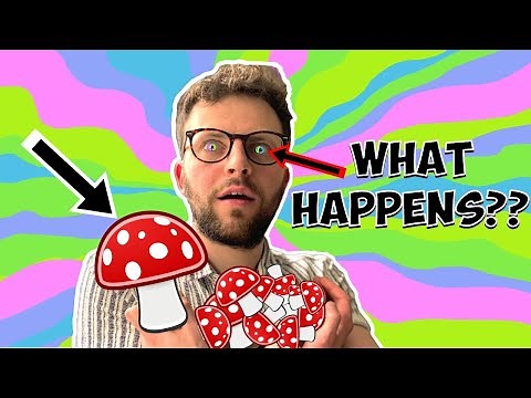 Your Brain on SHROOMS (Psychedelic Hallucinations)