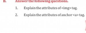 B. Answer the following questions.Explain the attributes of  t... | Filo