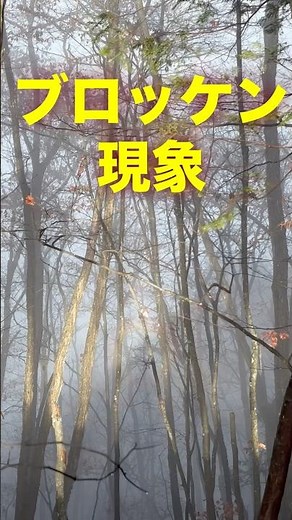 🤠ブロッケン現象 IN大岳山 #登山 #山登り #トレッキング