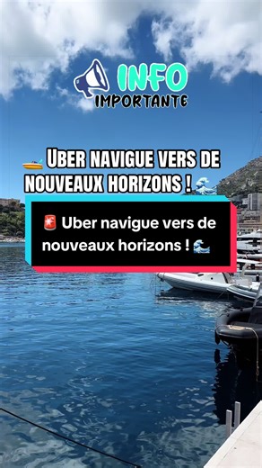 Uber Boat : Location de bateaux avec skipper