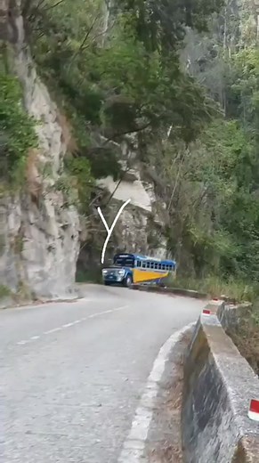 Cuéntame sobre tu mejor Experiencia a bordo de estos colosales? #choroni #venezuela #vnzla #carreteramaracaychoroni #montaña #parquehenrypittier #costasdearagua #costasdevenezuela #turismoenvenezuela #turismo #playas #rios #aventura #naturaleza #adrenalina #hospedajeenchoroni #posadasenchoroni #pescado #paseosenlancha #pesca #playagrande #tinikijima #choroni #paraisotropical #marcaribe #bailederambor #venachoroni