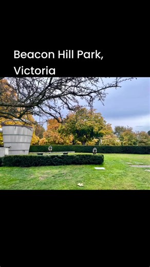 October 23, 2025 Beacon Hill Park, Victoria #beaconhillpark #victoriabc #vancouverisland #britishcolumbia #canada #peacocks #ducks #squirrel #trees | Comox Valley Wildlife Sightings