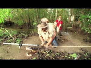 Gator Boys: Biggest Gator Ever