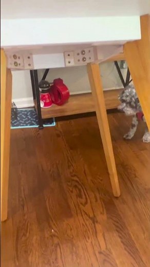 Budget-Friendly Dining Table for Tiny Kitchens | Space-Saving Furniture Ideas
