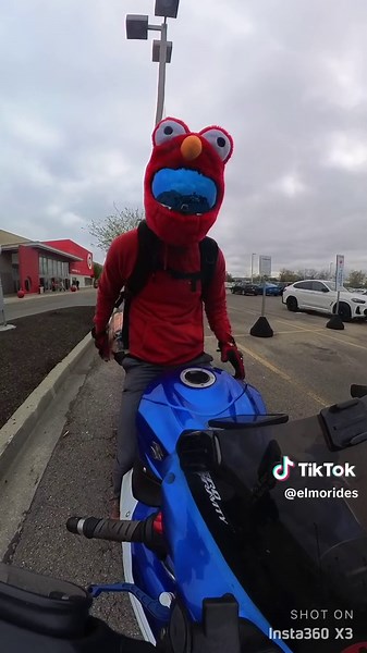 Unique Motorcycle Trip Home Featuring Elmo and Gorilla