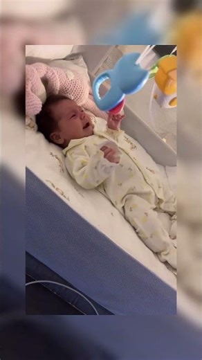 When Empathy Meets Instinct: A Dog's Tender Heartbreak