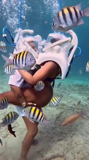 Freedive Beauty: Underwater Adventures with Mermaids