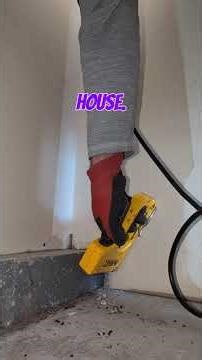 Sealing a house to get rid of mice. Mouse exterminator in Fort Collins, Colorado. #rodentcontrol