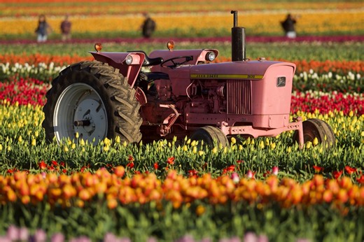 ‘We’re sounding the alarm’: Oregon’s farms and land-use advocates square off over farmstand rules