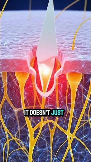 Why Paper Cuts Hurt SO Much?