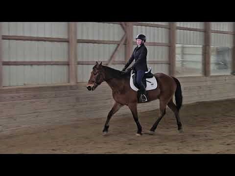 Dressage test intro A, Cora Hoffmann 1/17/26