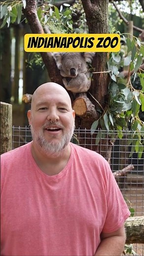 Indianapolis Zoo: A Top Attraction in Downtown Indianapolis!
