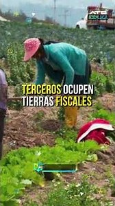 Intervention at INRA due to irregularities