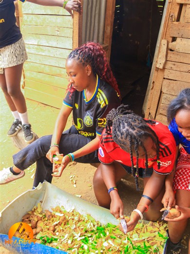 Manchester United Fan's Random Review