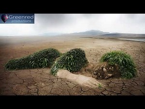 Healing Music with Earth's Frequency 7.83 Hz Binaural Beats, Schumann Resonance, Relaxing Music