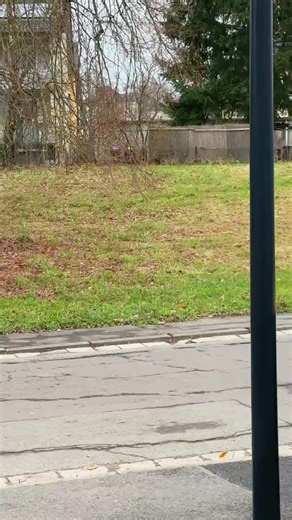 Jcd (@jcd5634)’s videos with original sound - Jcd