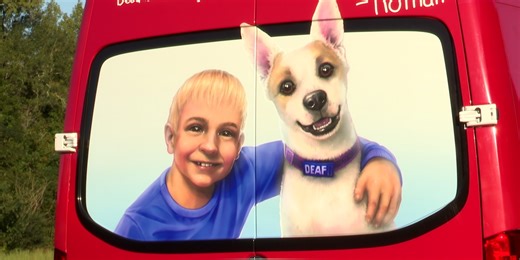 Project Freedom Ride gets ready for new dog rescue mission