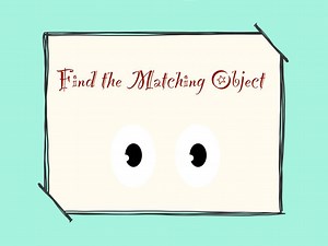 Find the Matching Object