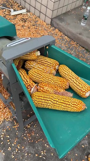 5.1K views · 31 reactions | Capacity 1500kg/hour corn sheller | Backbone machinery | Facebook