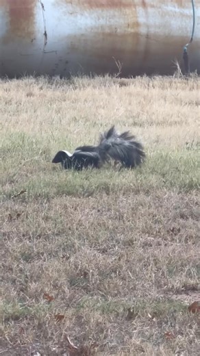 Brandon Saylor on Reels