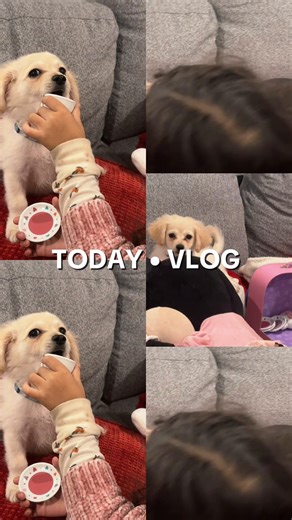 AGUILITA🦅CD (@castillocdaguilita)’s videos with Treasure - whaddup